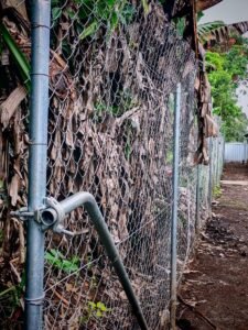 Campus work — Melanesian Training College, Togoba
